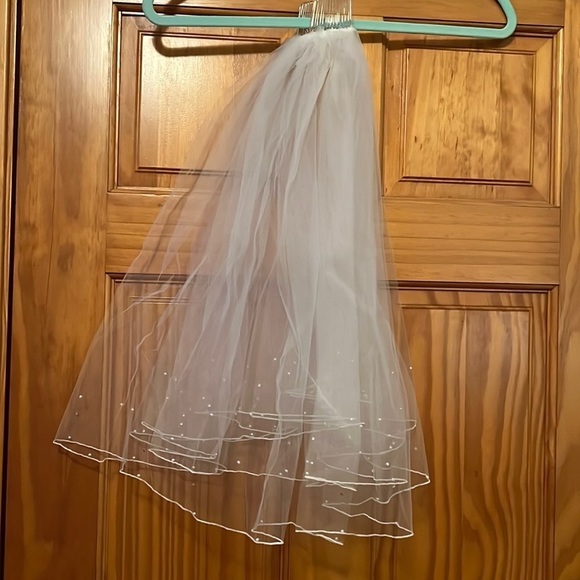 VEIL - Picture 6 of 8